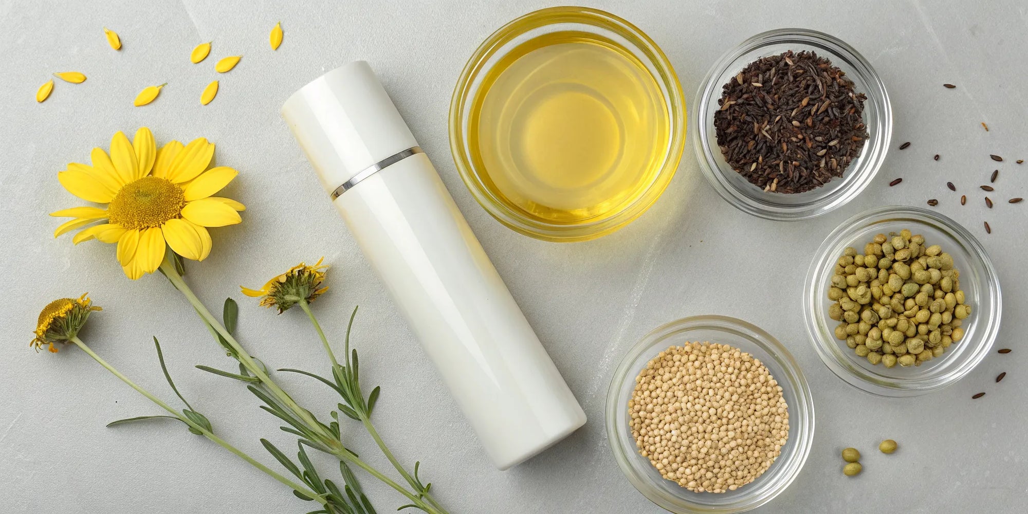 Plant-based oils from seeds and flowers as healthy alternatives to palm oil in baby formula.