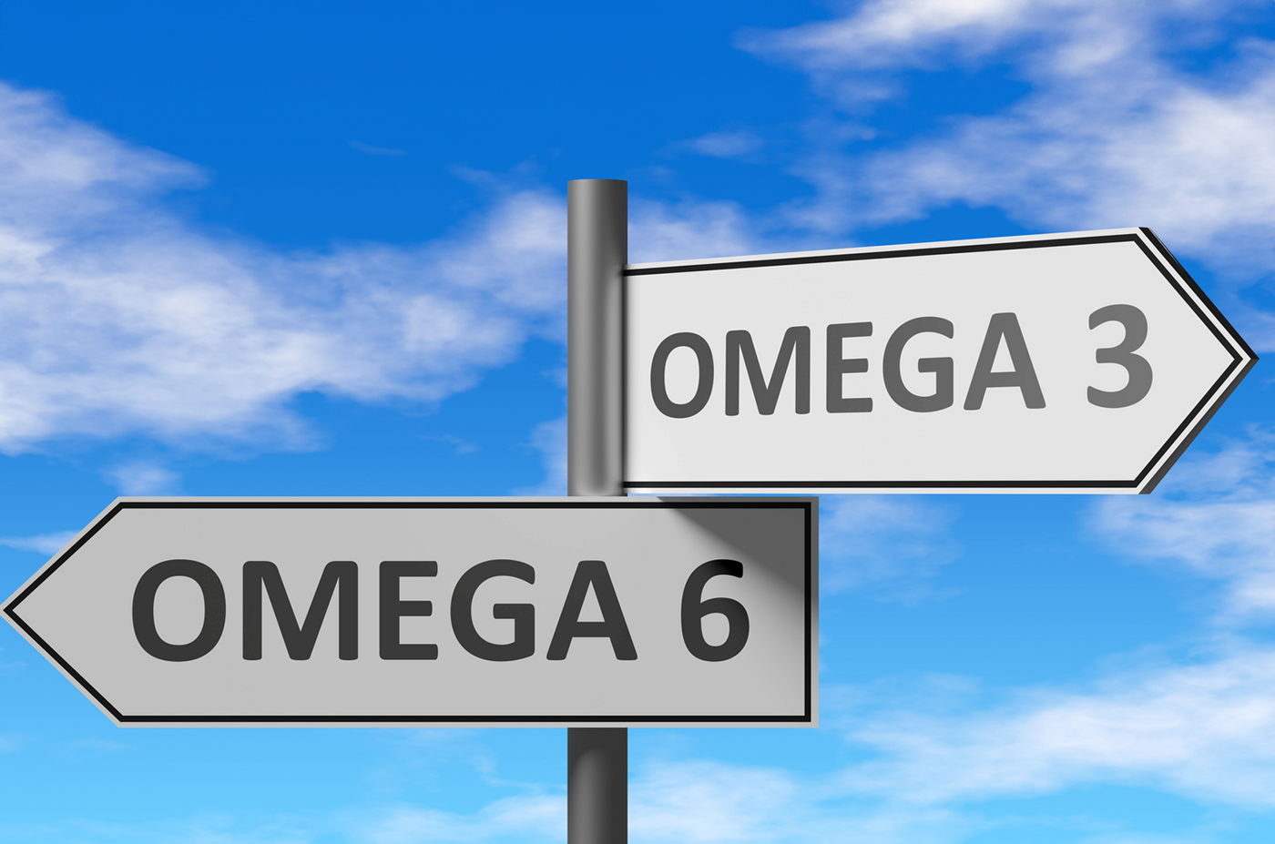 Nutritional Power: Omega 3 and 6 Benefits