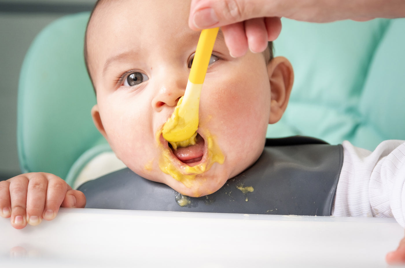 The Essentials of Complementary Feeding Practices for Babies – Else  Nutrition