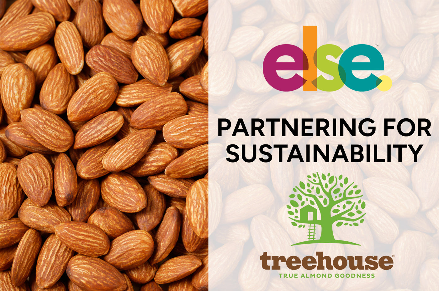 Celebrating Sustainability: Treehouse California Almonds Champions Green Practices