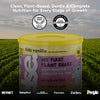 My First Plant Shake! Plant-Powered Complete Nutrition Shake for Kids – Vanilla Flavor Best By: 31 July 2026