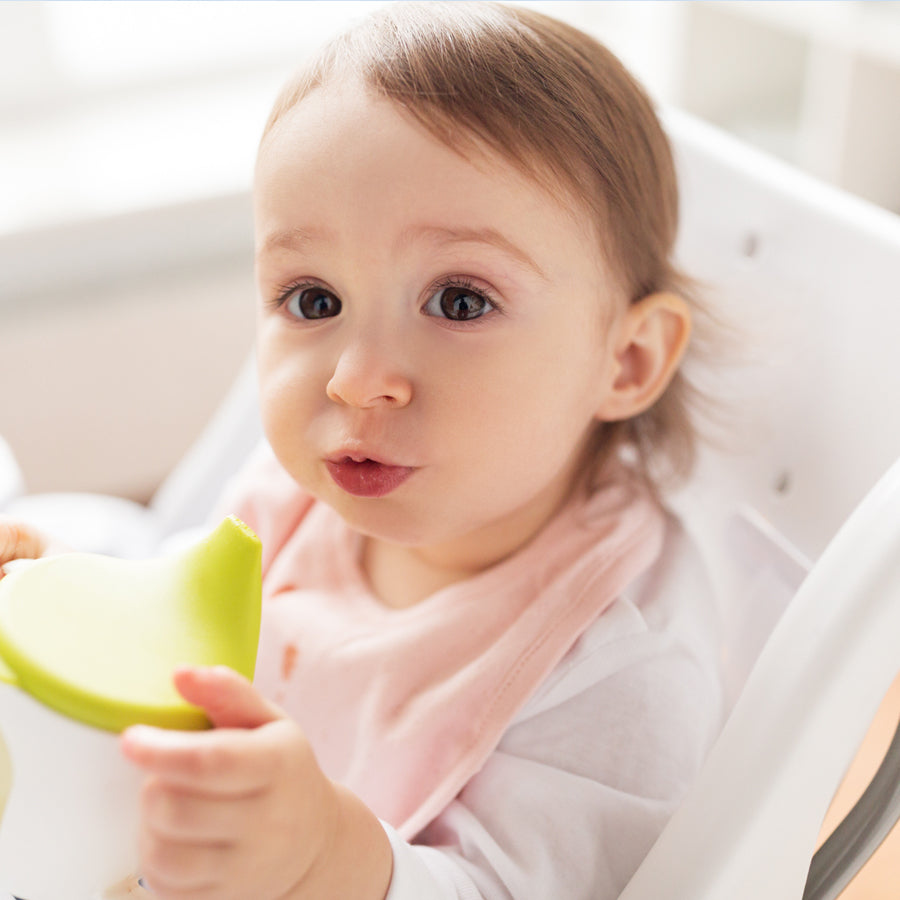 Lactose-Free Organic Toddler Formula – Else Nutrition